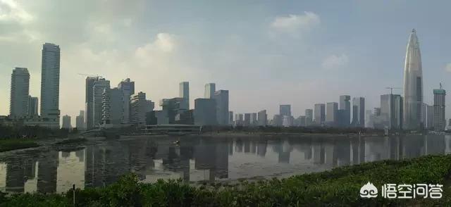 深圳市有几个区？