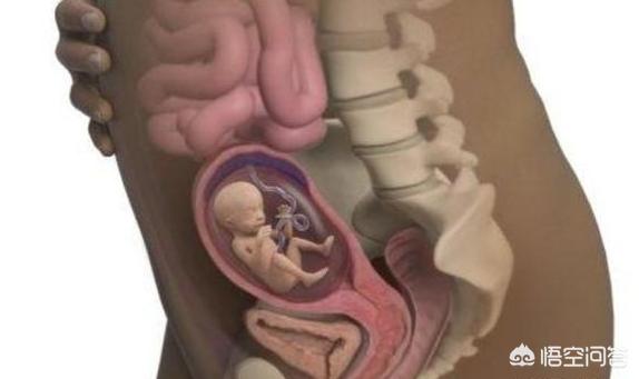 胎儿17周时需要注意哪些营养？