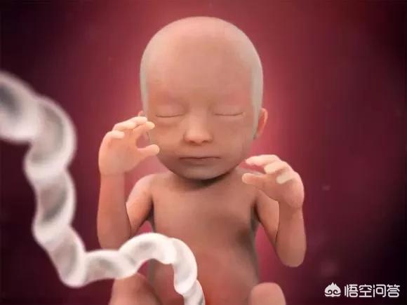 怀孕八个月，胎儿发育如何？